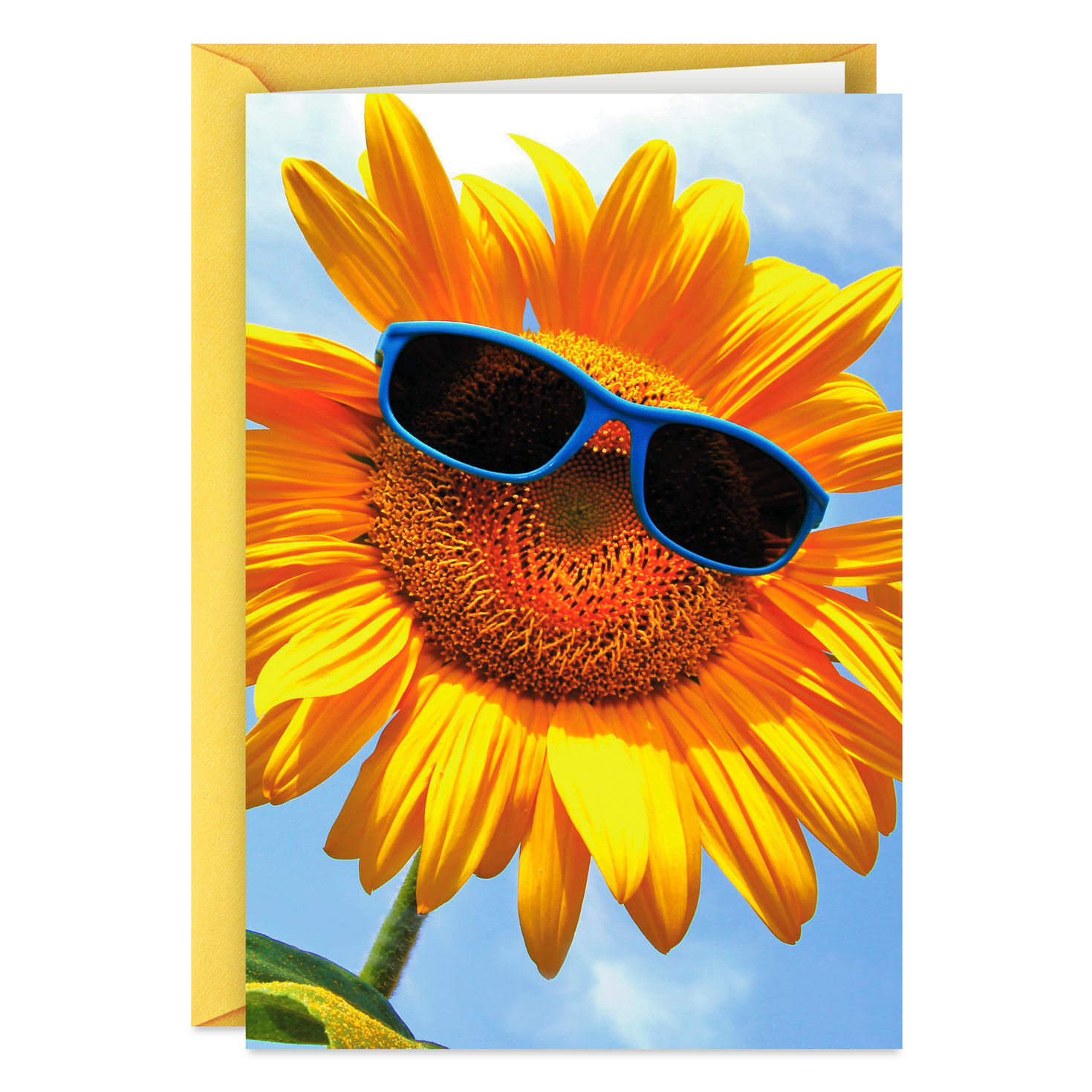 Sunflower in Sunglasses Thinking of You Card