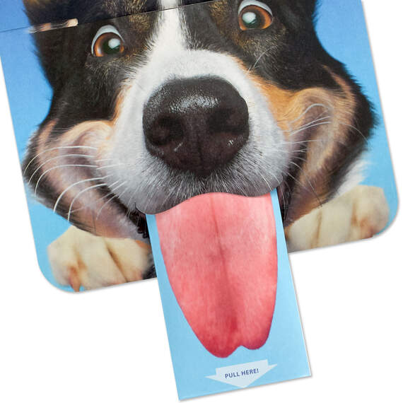 Begging Dog Funny Father's Day Card With Sound, , large image number 5