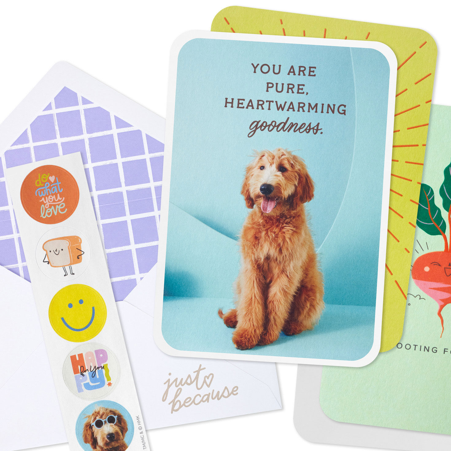 Hallmark+ Membership Renewal Card Assortment card fronts and stickers image number 6