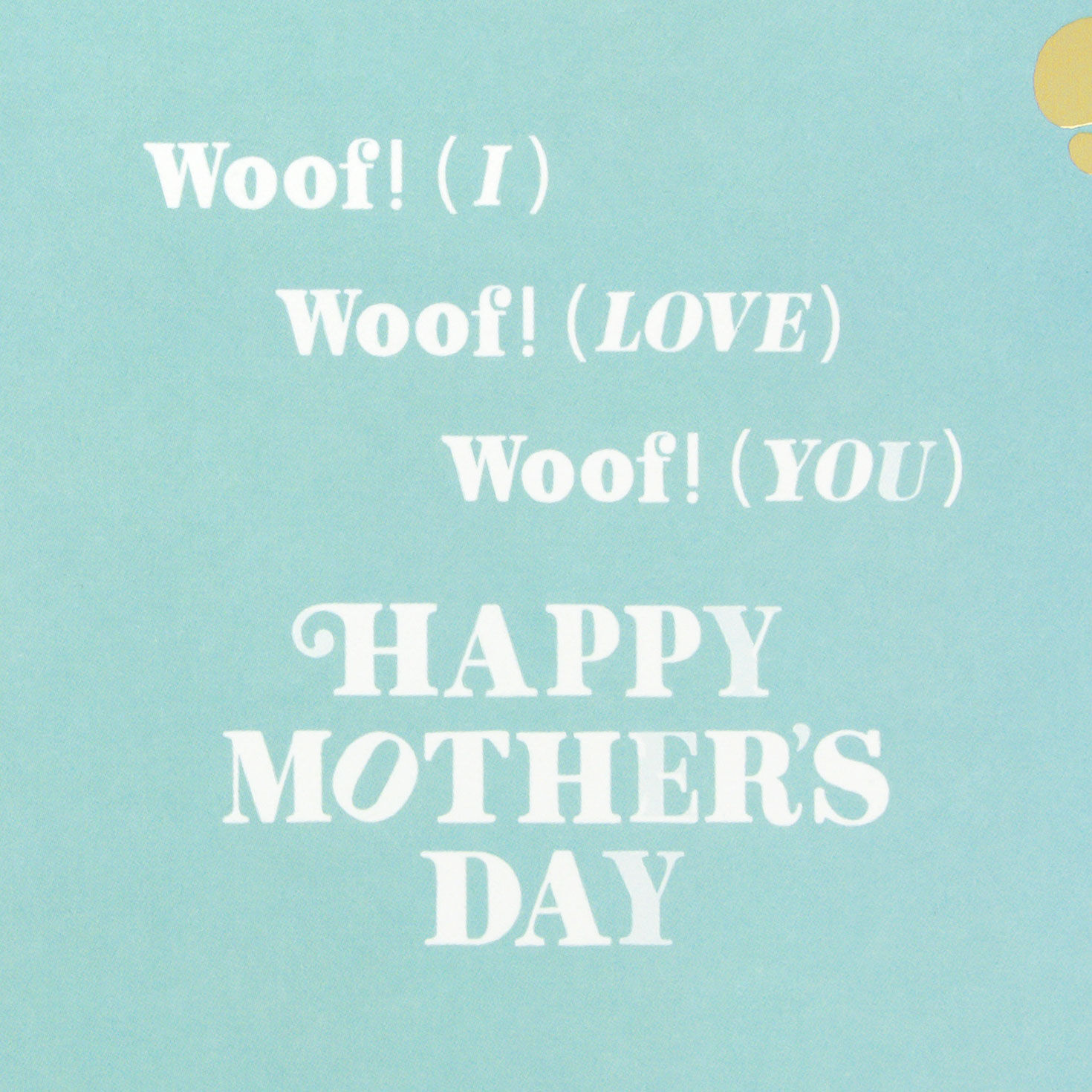 Colorful Paw Prints on Blue Mother's Day Card from Dog Sentiment image number 2