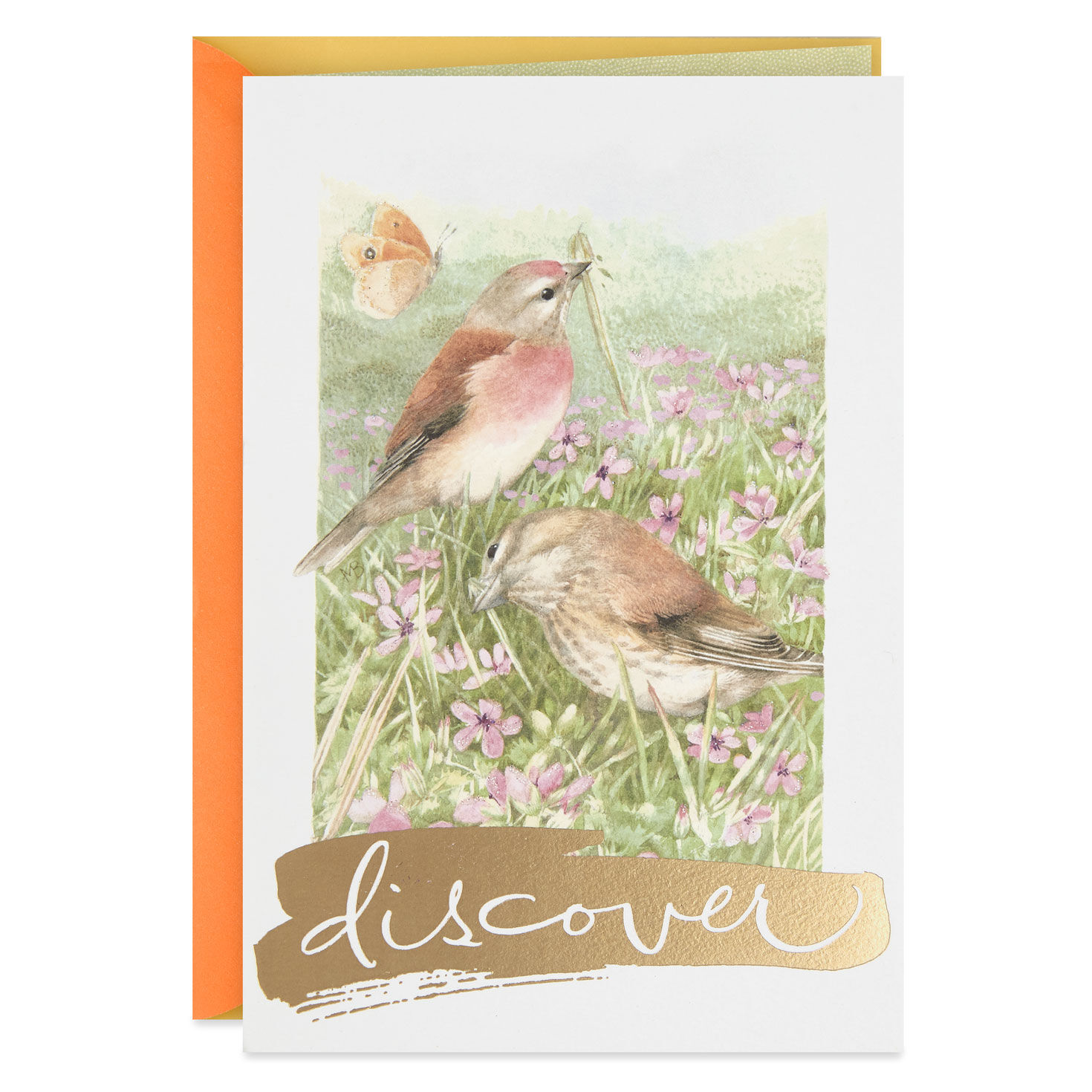 Marjolein Bastin Discover Good Things Birthday Card for only USD 3.99 | Hallmark