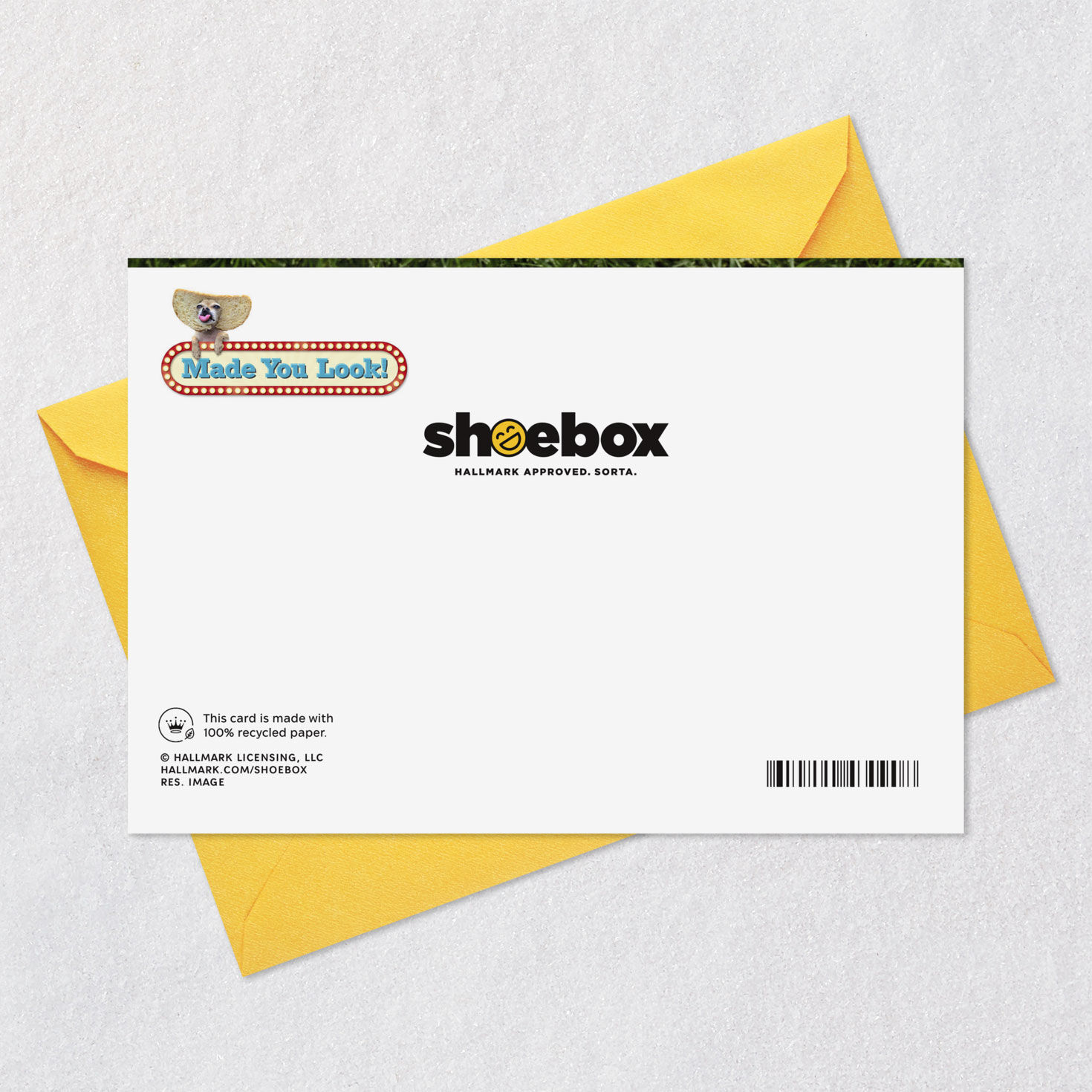 Dog Stuck in Bread Slice Funny Birthday Card Card Back with Envelope image number 7