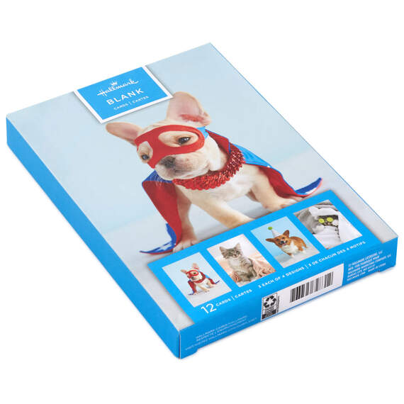 Dynamic Dogs and Cats Boxed Blank Cards Assortment, Pack of 12