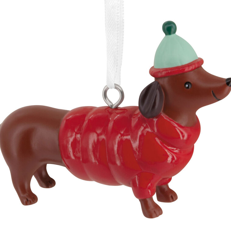 Dachshund in Coat Christmas Ornament closeup view image number 5