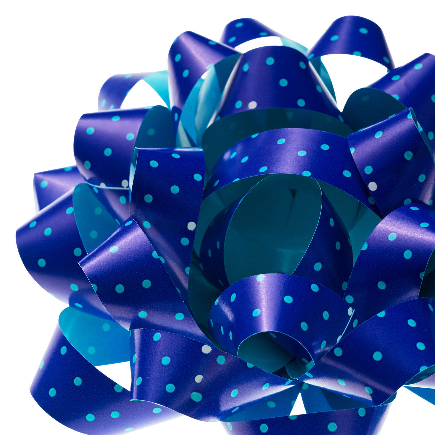 Blue With Dots and Turquoise on Reverse Gift Bow upclose view image number 4