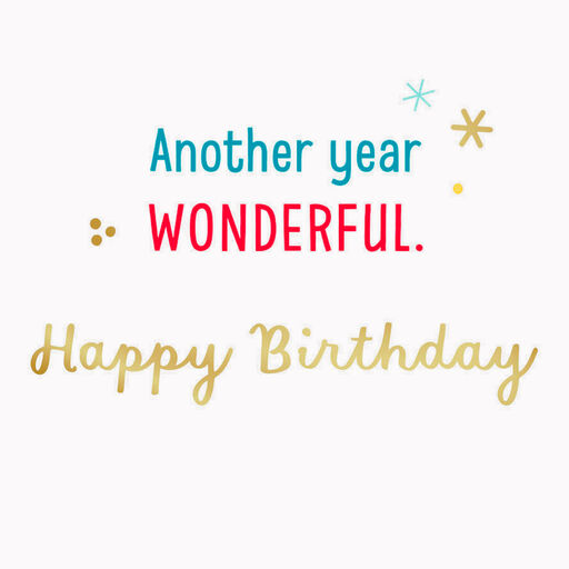 Another Year Wonderful Video Greeting Birthday Card, 