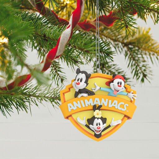 Animaniacs™ Zany to the Max! Ornament, 