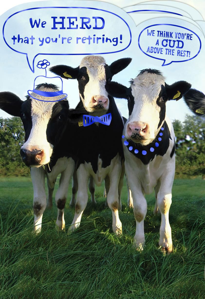 The Word From the "HERD" Funny Retirement Card From Group