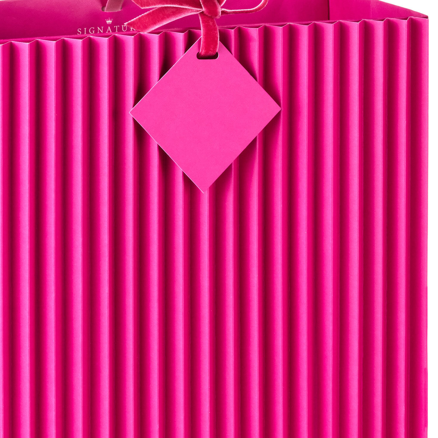 Hot Pink Gift Bag With Pleated Design Handle Detail image number 4