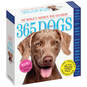 365 Dogs Page-A-Day Calendar, 2021, , large image number 1