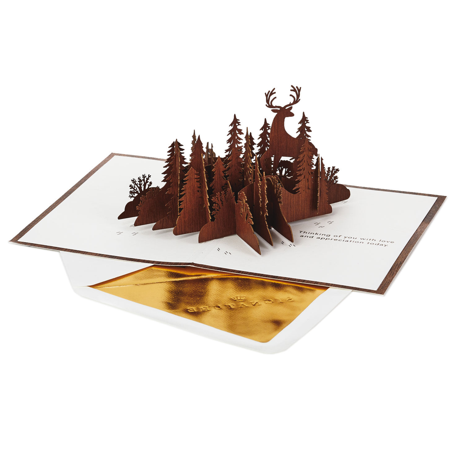 Deer In Forest Scene 3d Pop Up Father S Day Card Greeting Cards