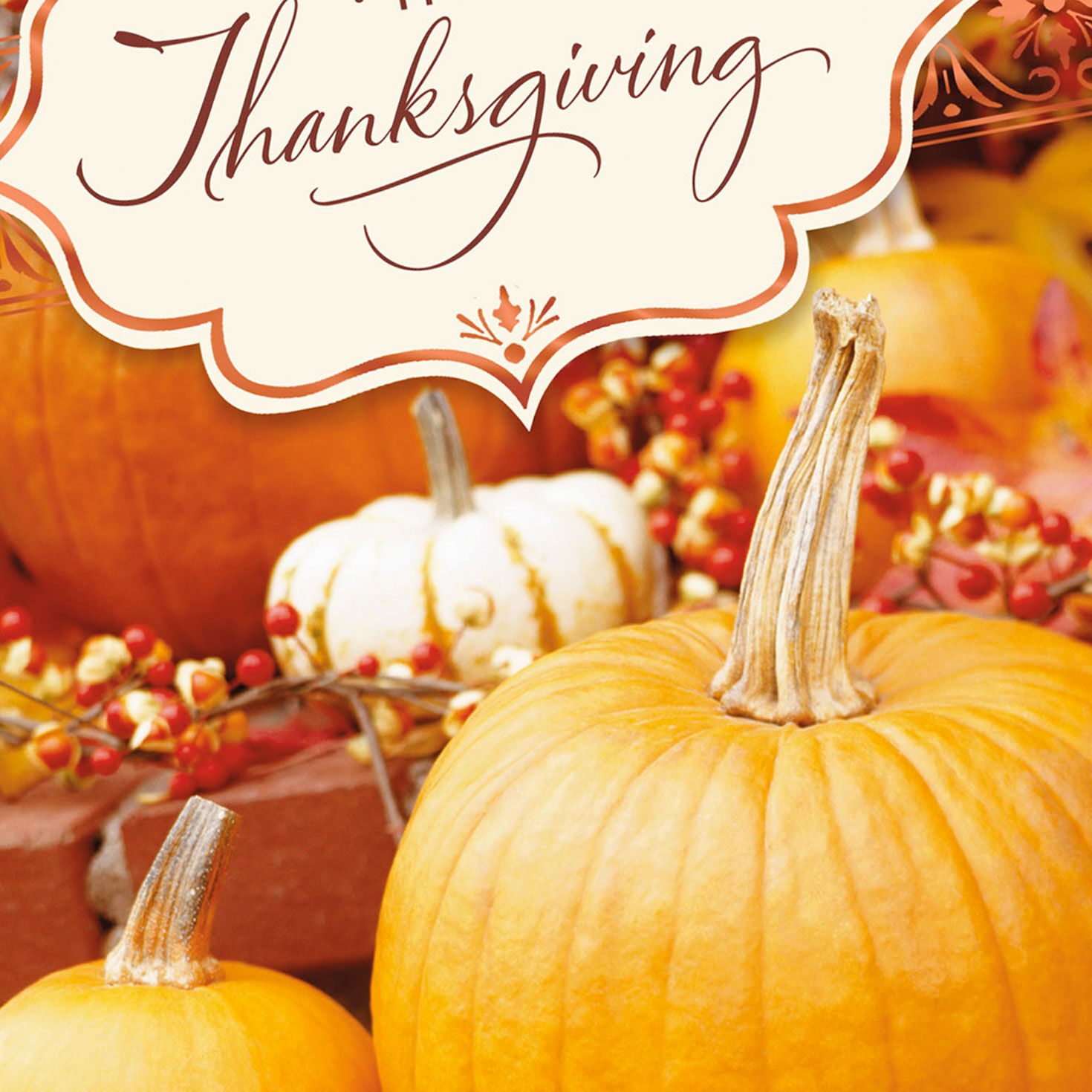 Heartwarming Moments and Memories Thanksgiving Card, , large image number 4