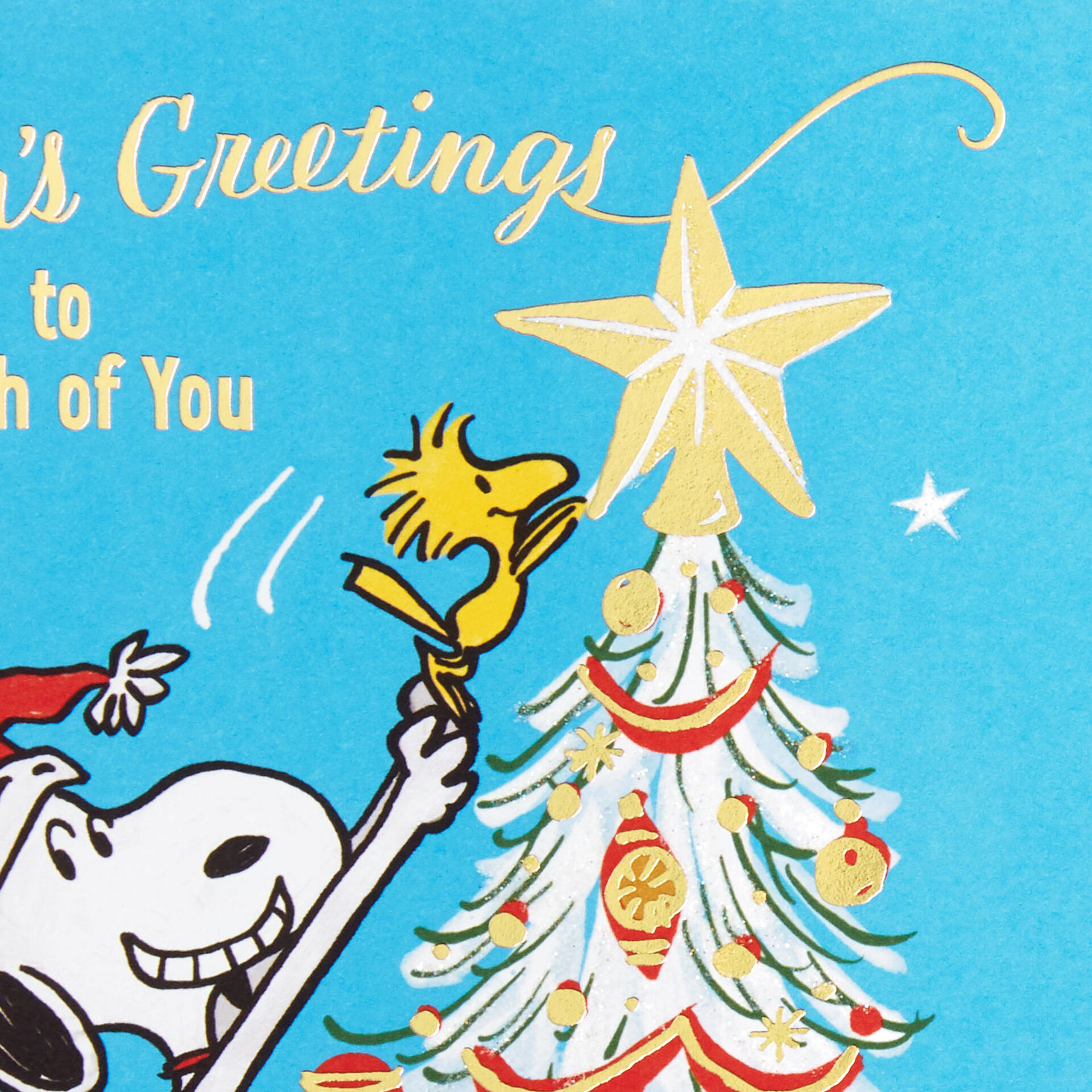 Peanuts® Snoopy Season's Greetings Christmas Card for Both Greeting