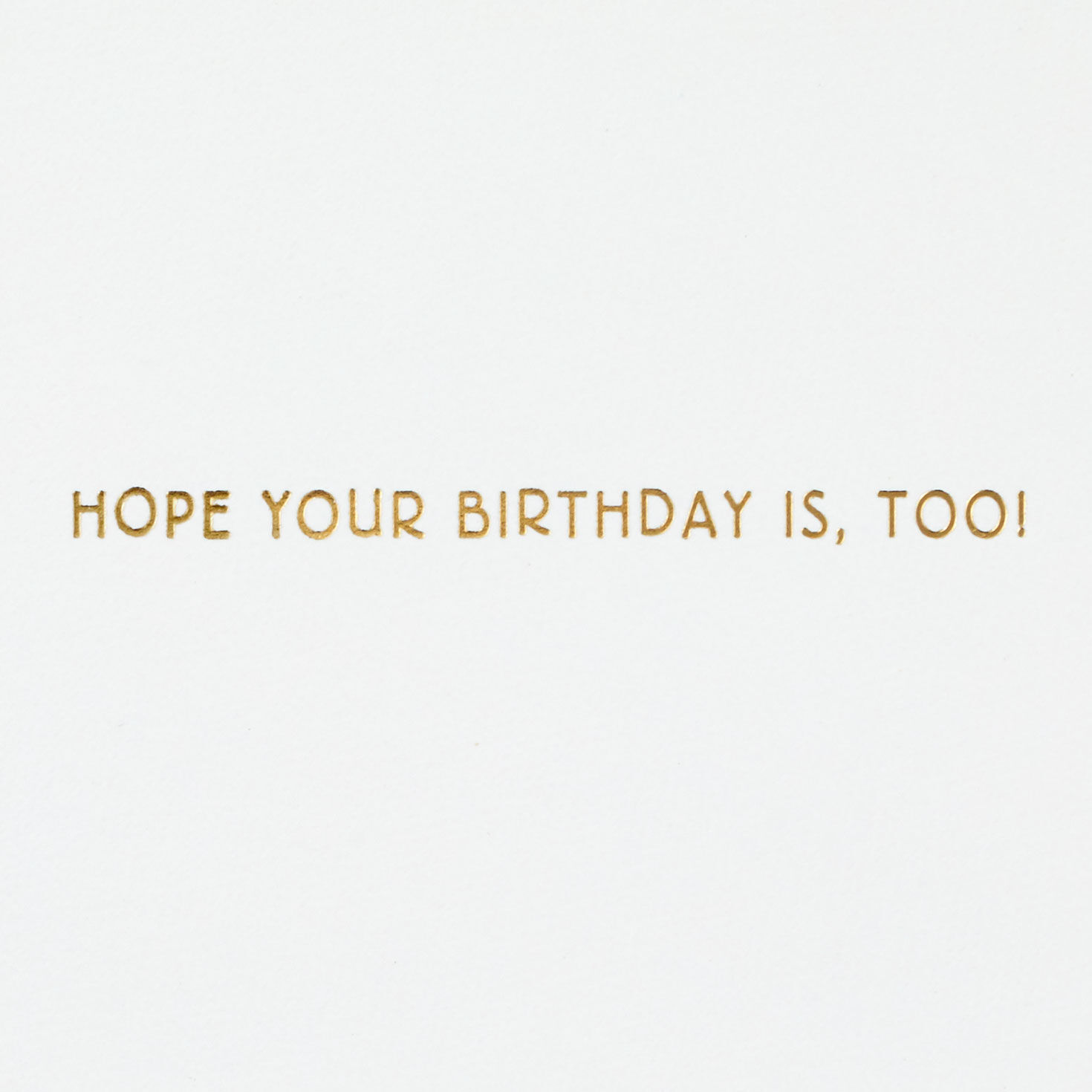 Colorful Zebra on Mint Birthday Card Sentiment image number 2