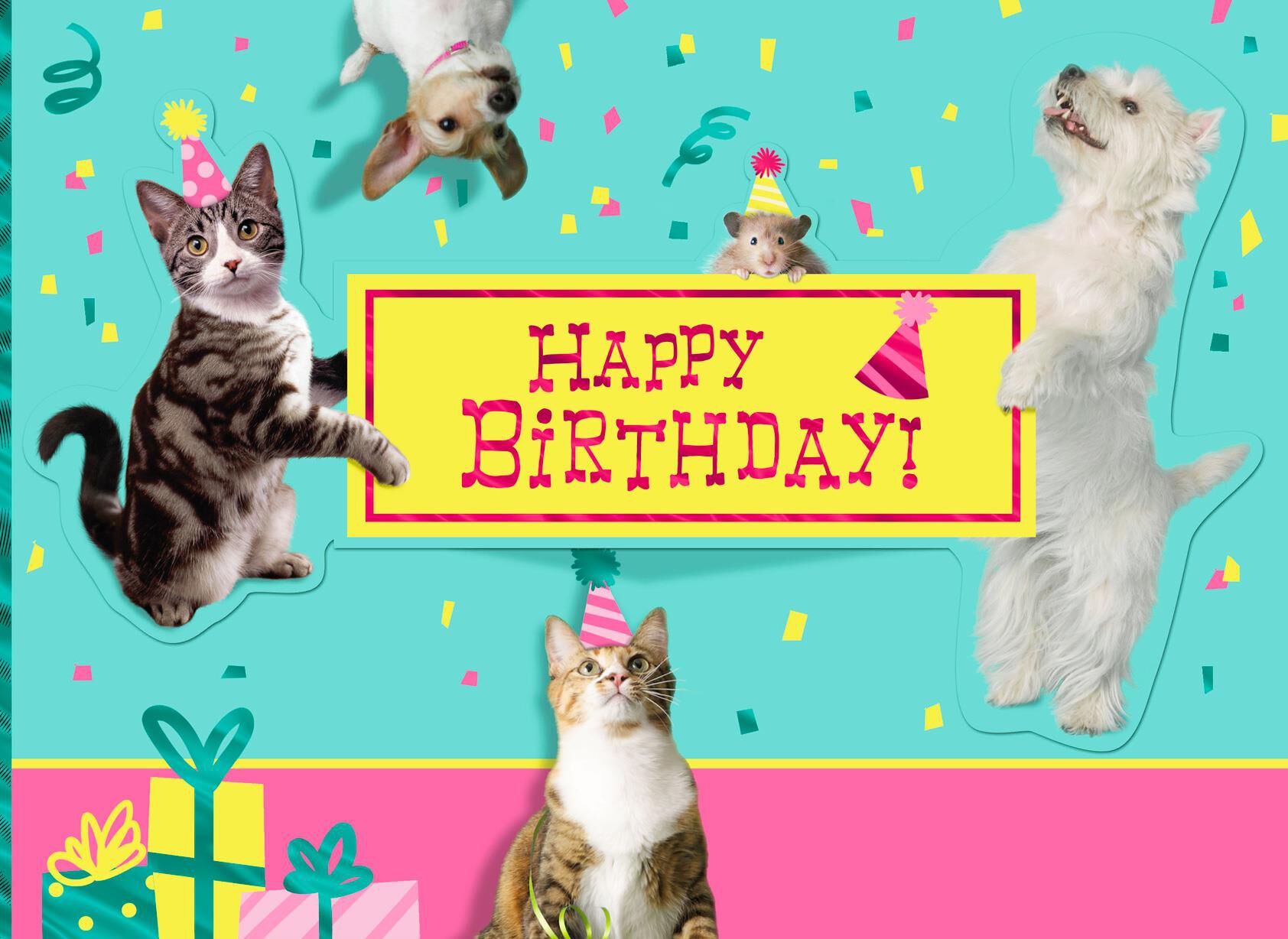 Party Animal Birthday Card
