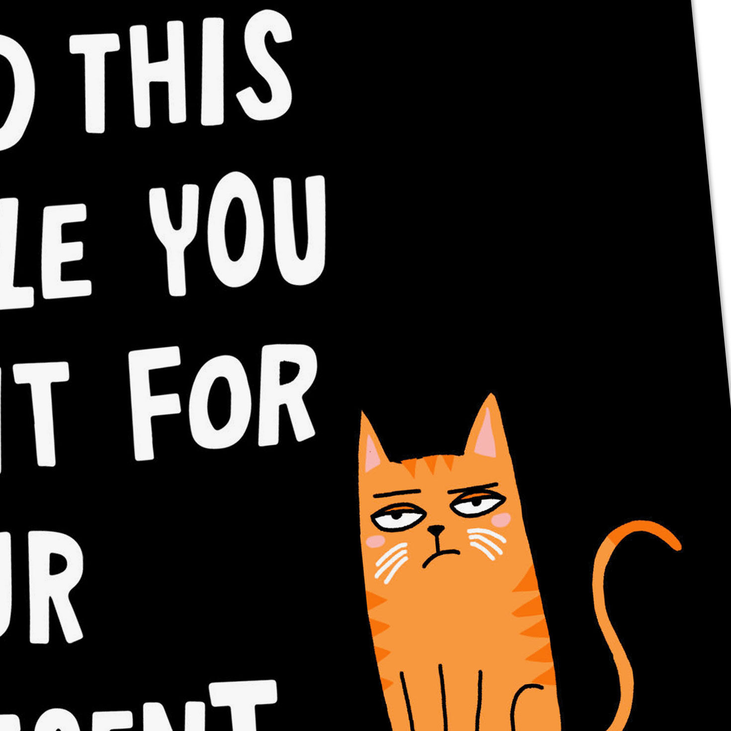 Cat Message Funny Birthday Card Card Front Detail image number 4