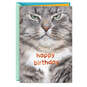 Grumpy Cat Funny Birthday Card, , large image number 1