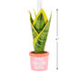 You Grow Girl Houseplant Christmas Ornament measurement image number 3