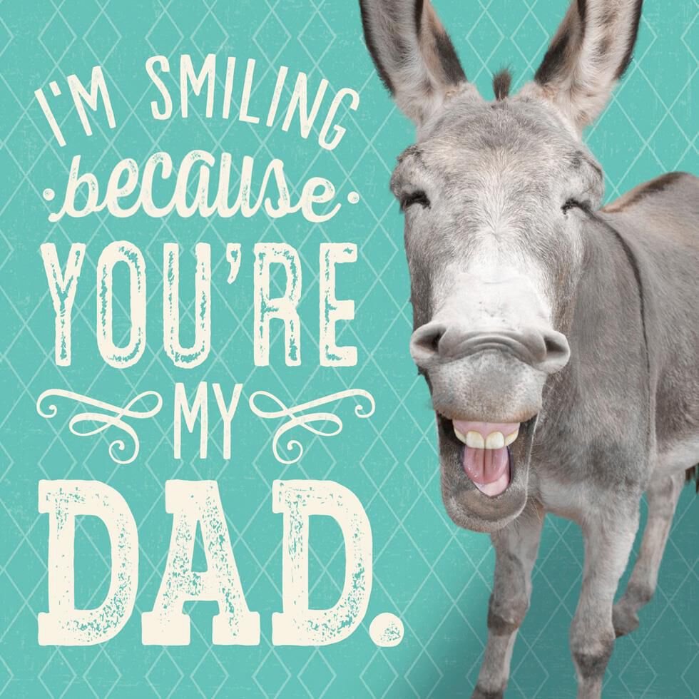 Smiling Donkey Funny Musical Father's Day Card