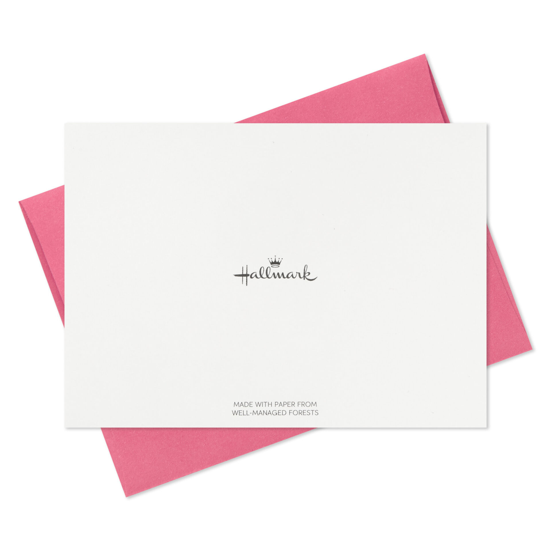 Birds and Blooms Boxed Blank Note Cards Multipack, Pack of 10 Note