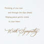 Wishing You Comfort and Peace Sympathy Card, , large image number 2