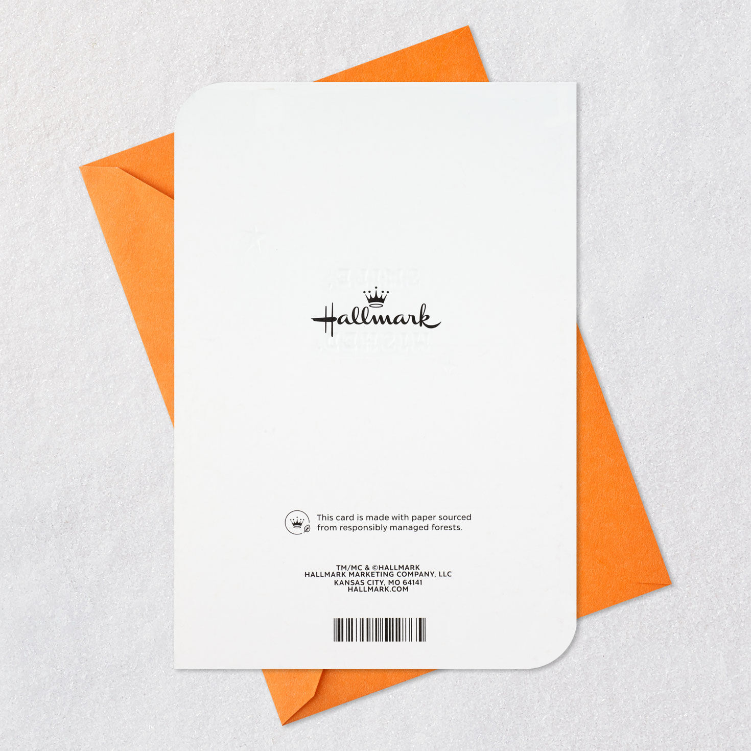 Black Cat and Jack-o'-Lantern Halloween Card for only USD 2.99 | Hallmark