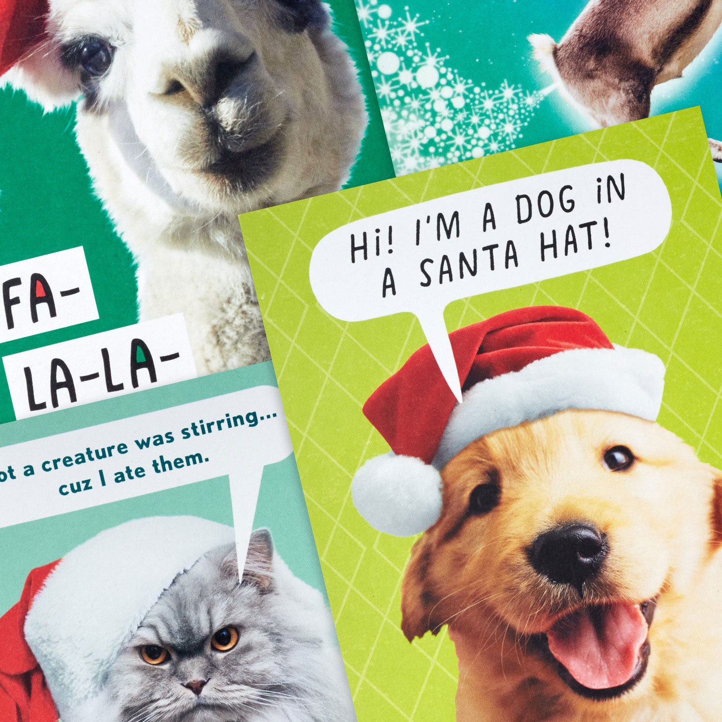 Funny Animals Boxed Christmas Card Pack card frotn detail image number 5