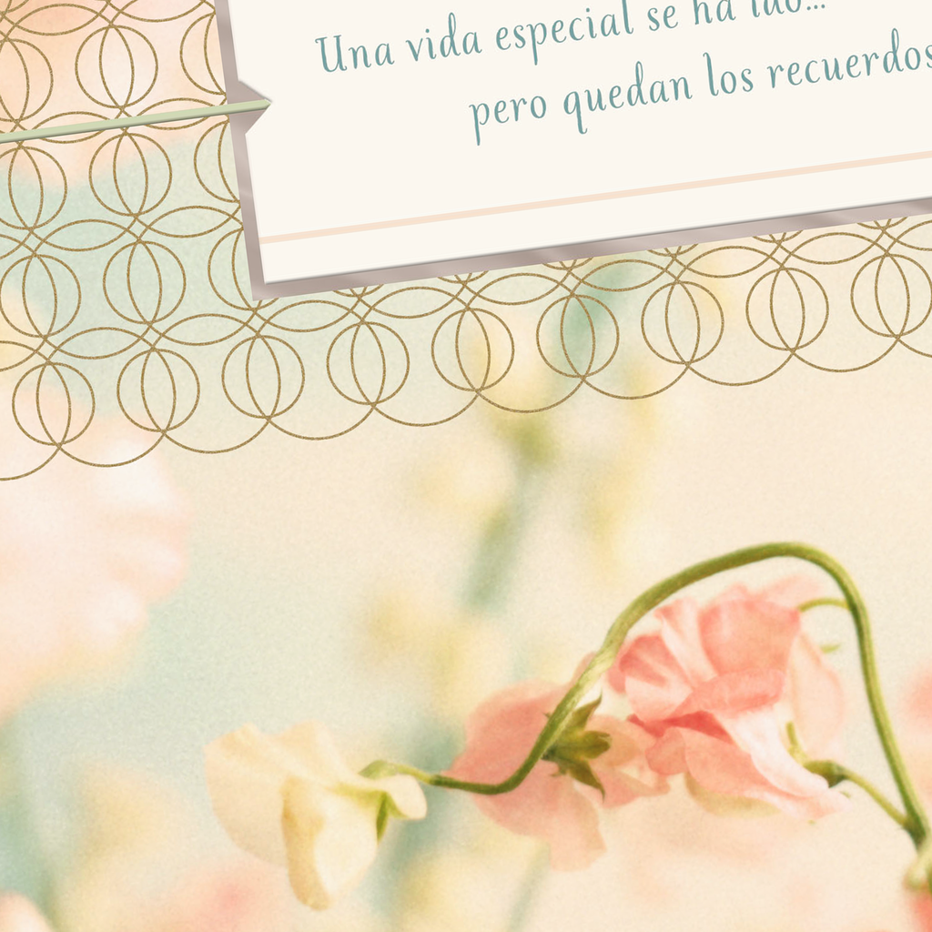 peace and comfort spanish language religious sympathy card