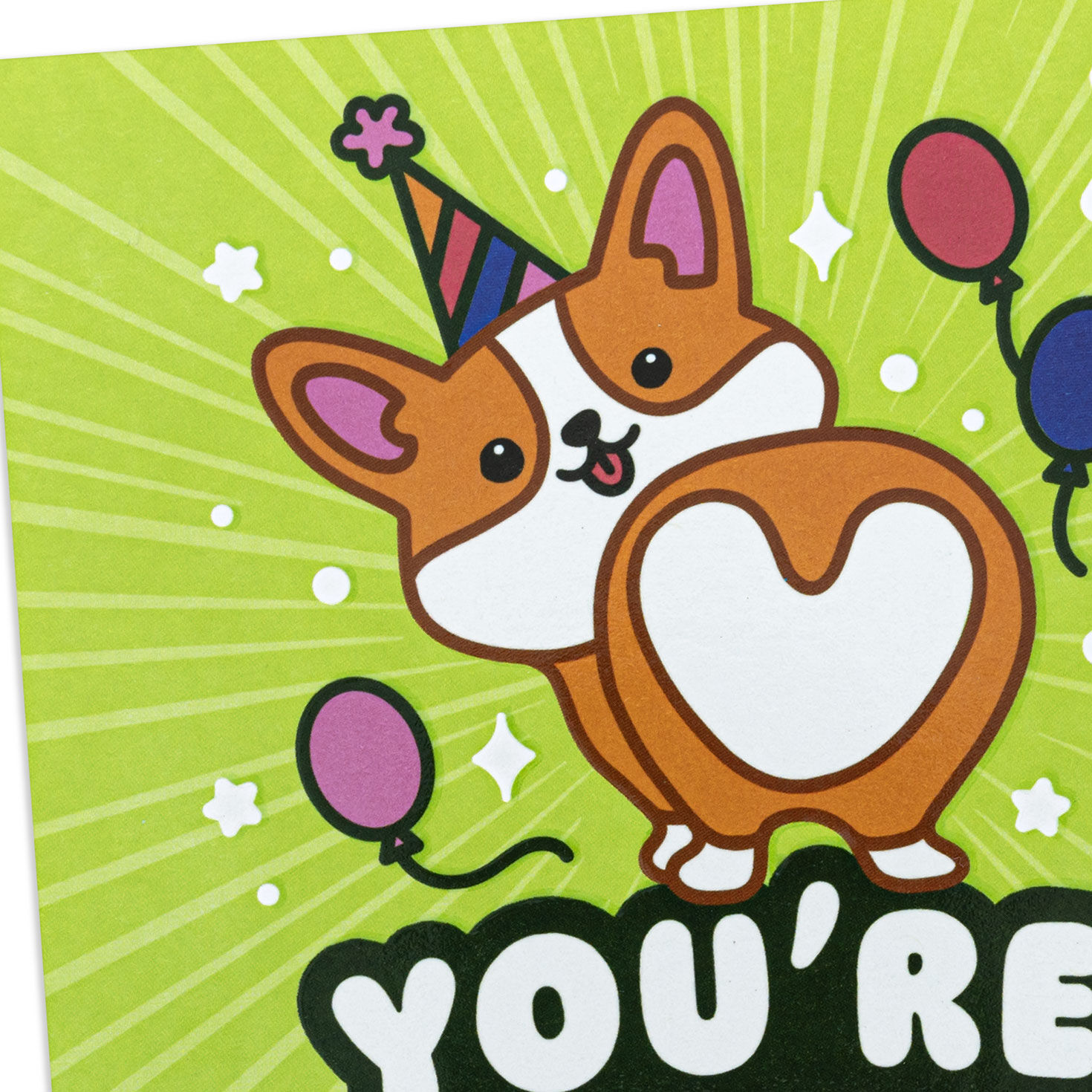 Corgi Dog in Party Hat Kids Birthday Card With Stickers Card Front Detail image number 4