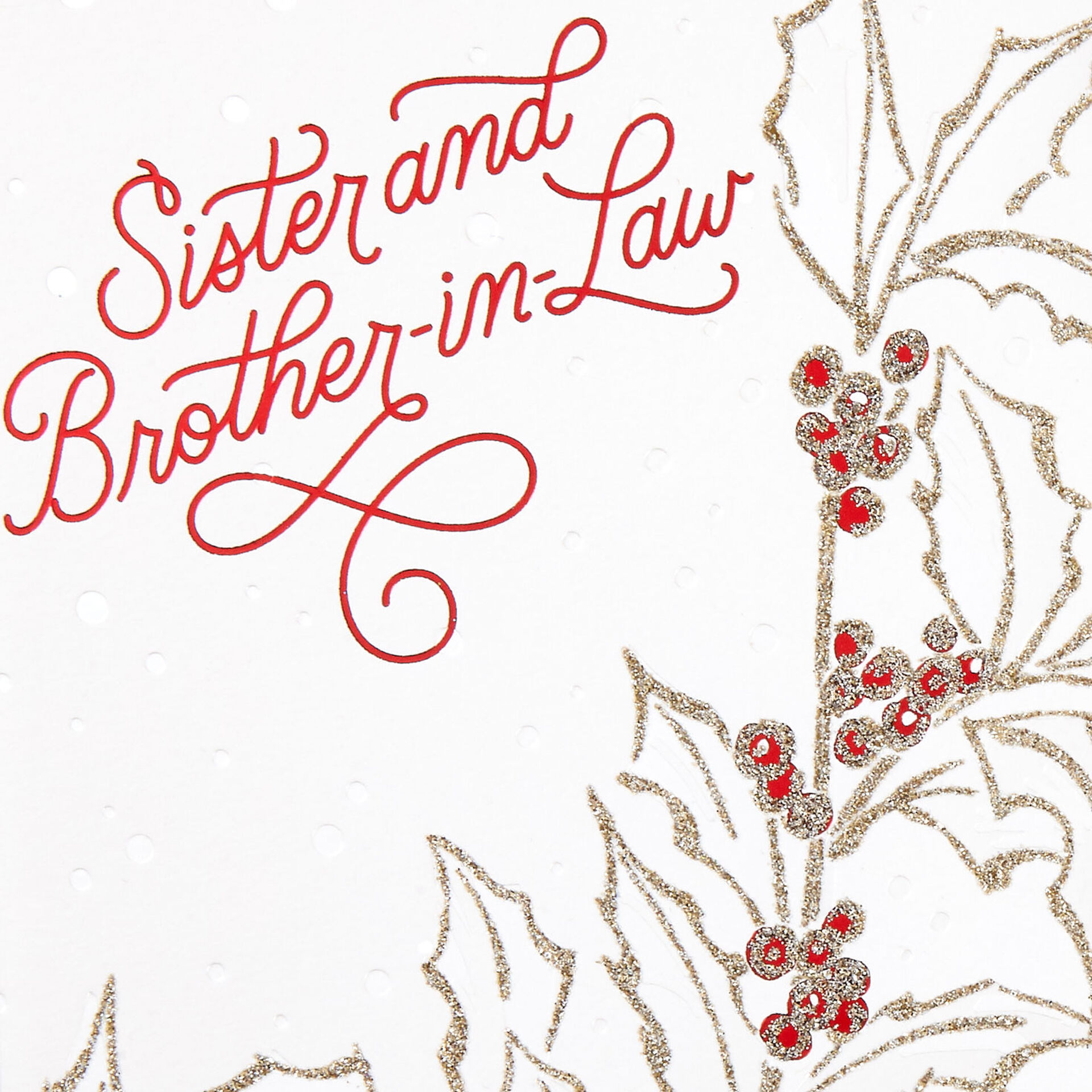 Brother & Brother-in-Law Christmas Card | LGBTQIA+ Festive Greeting
