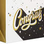 Way to Go 3-Pack Assorted Large Graduation Gift Bags, , large image number 6