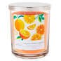 Orange Vanilla Cream 3-Wick Jar Candle, 16 oz., , large image number 1