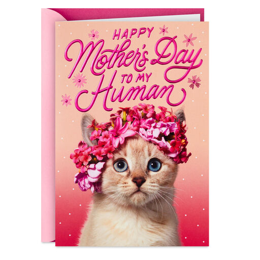 You're the Best Mother's Day Card From the Cat, 