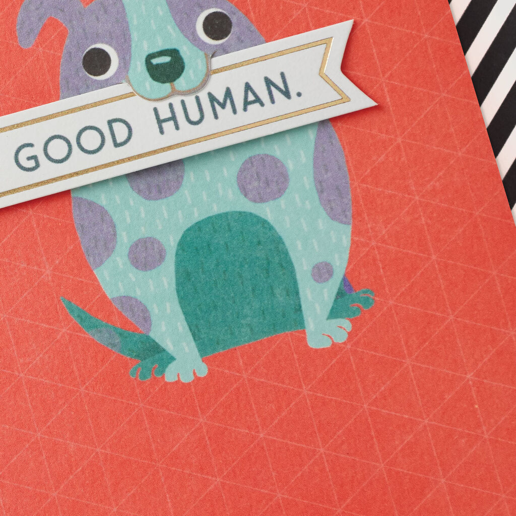 Dog And Cat You Re A Good Human Thank You Card Greeting Cards
