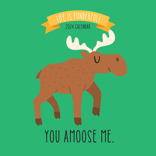 2024 Calendars & Planners Perpetual Desk Calendars Hallmark