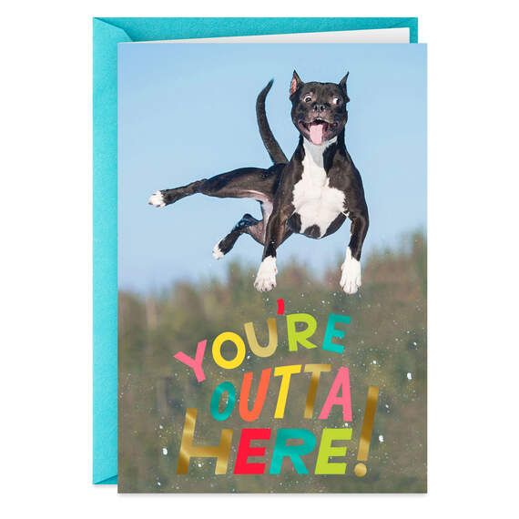 You're Outta Here Jumping Dog Funny Retirement Card