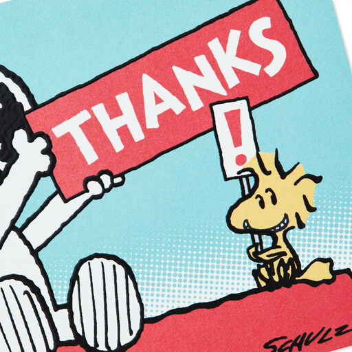 Peanuts Snoopy And Woodstock Blank Thank You Notes Pack Of 10 Note Cards Hallmark
