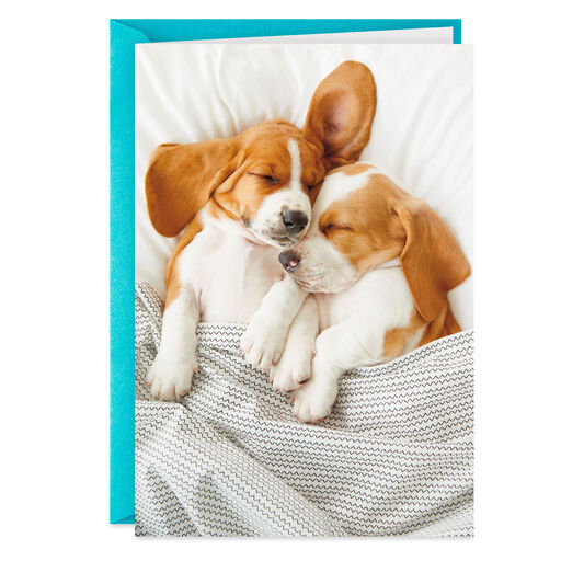 You Guys Are Still the Cutest Anniversary Card, 