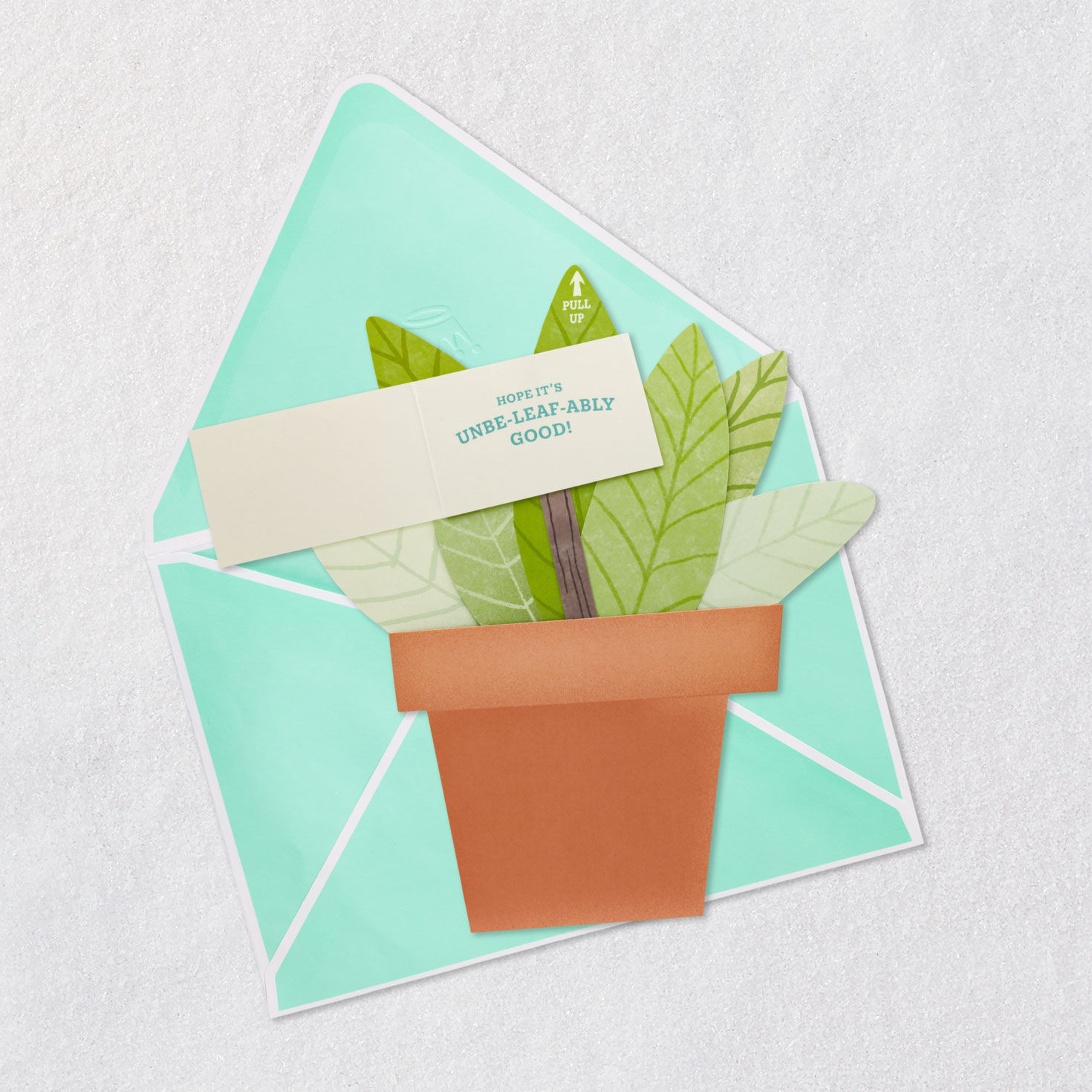 Pull-up Paper Craft Green Potted Plant Birthday Card Open card with envelope image number 3