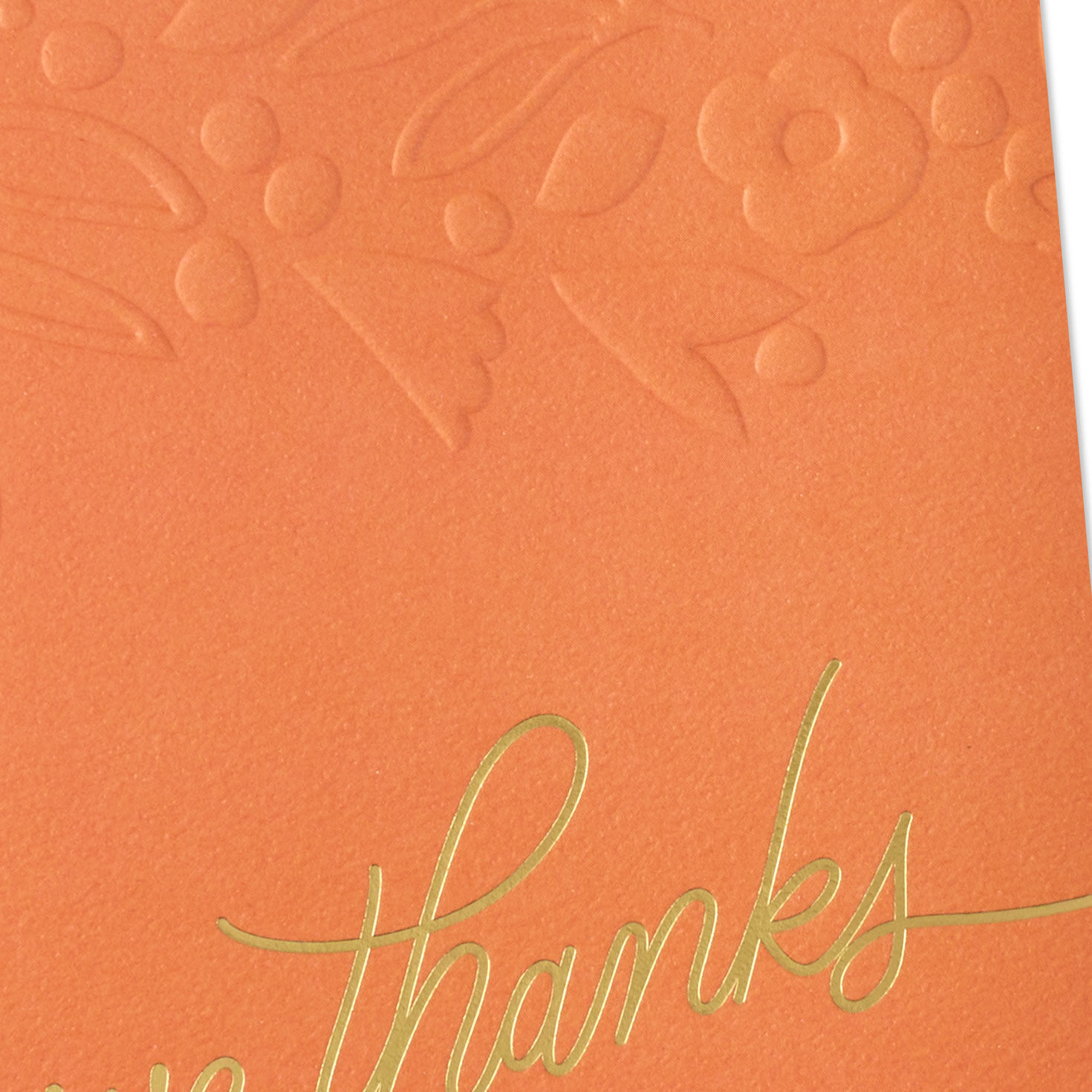 Happy and Blessed Thanksgiving Card for only USD 5.99 | Hallmark