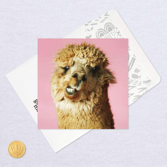 Llama Llots of Llove Birthday Card, , large image number 5