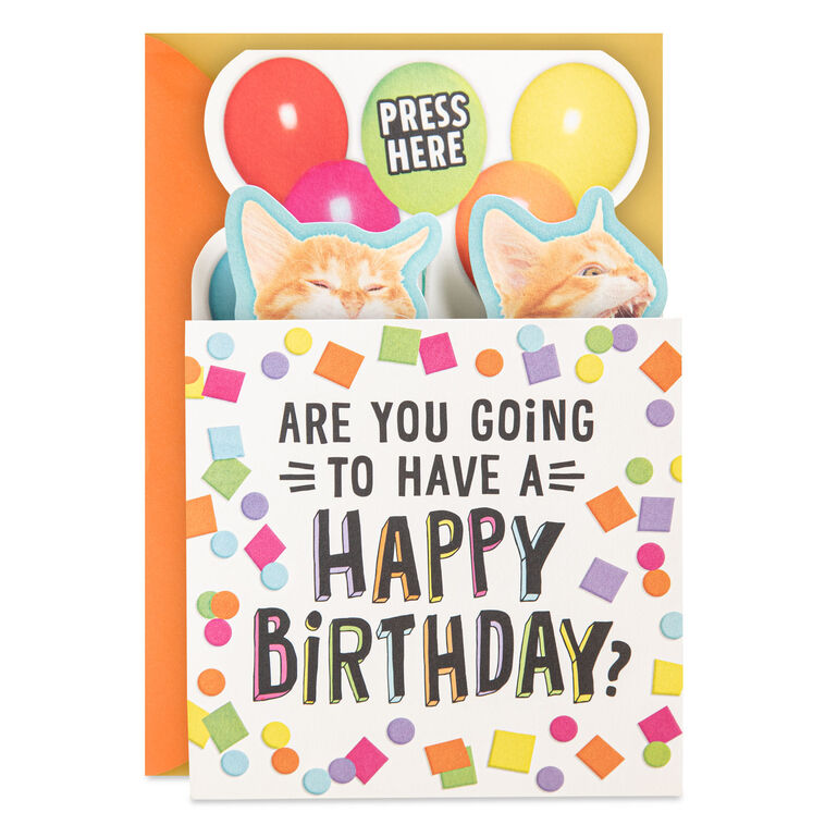 Singing Cats Funny Musical Pop-Up Birthday Card