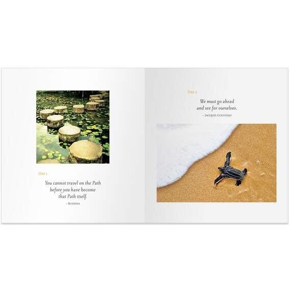 Daily Calm Gift Book, , large image number 2