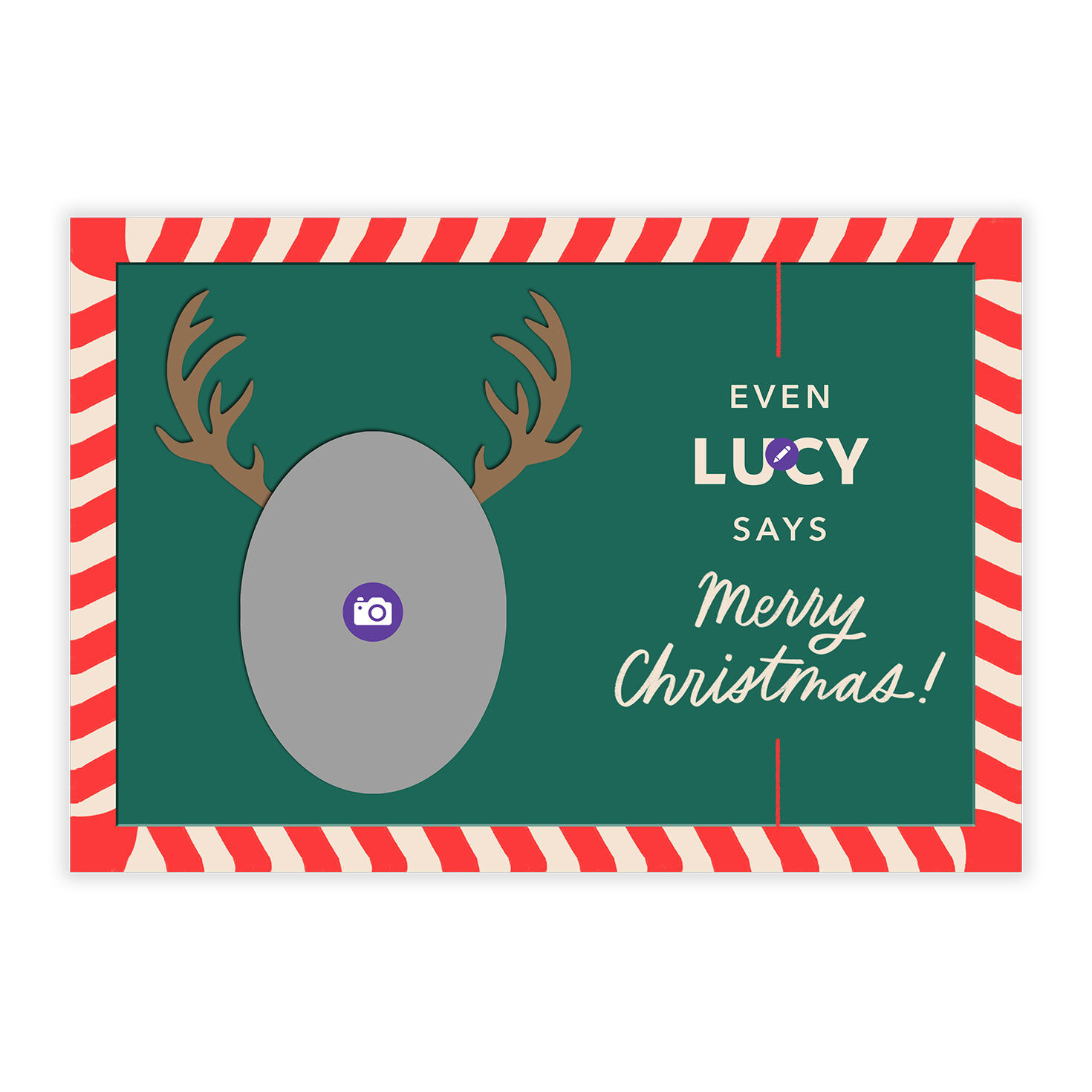 Reindeer Face Funny Flat Christmas Photo Card, , large image number 5