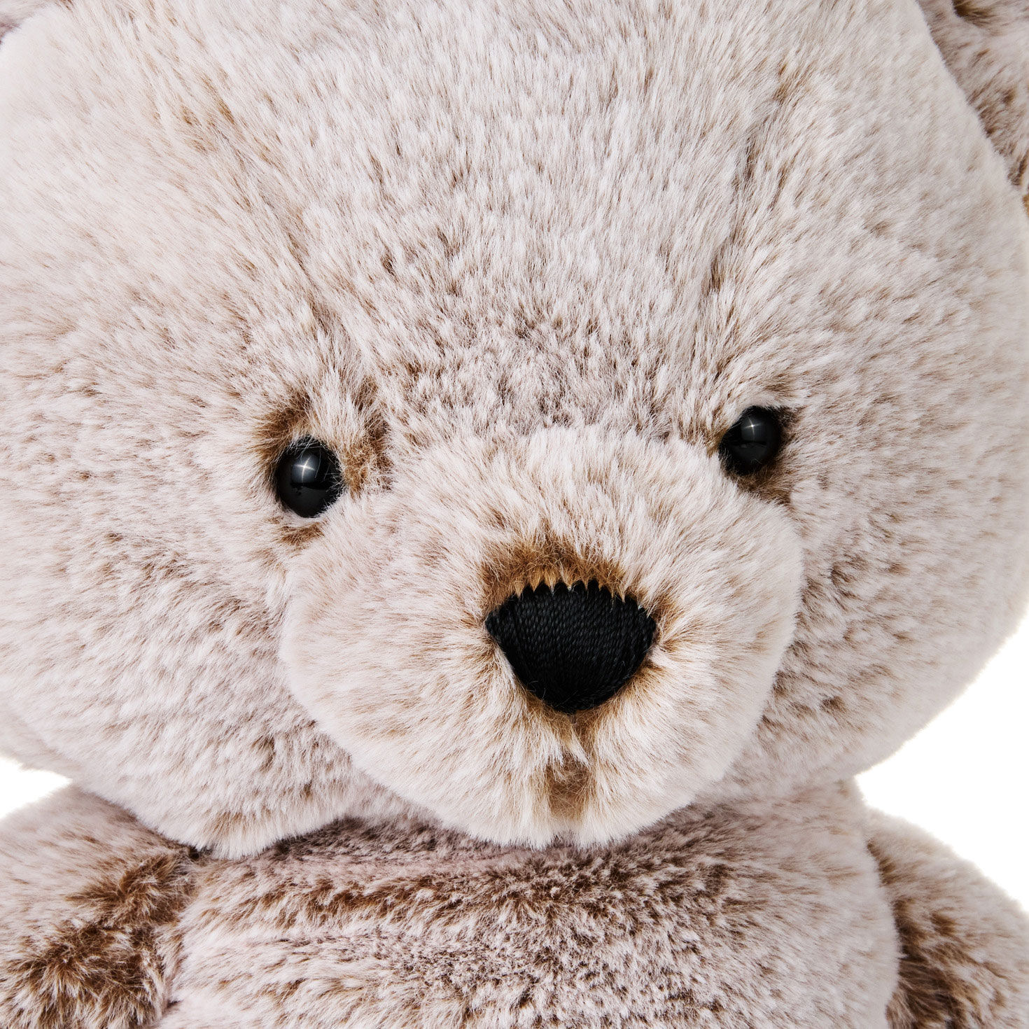 Brown Teddy Bear Plush upclose view image number 4