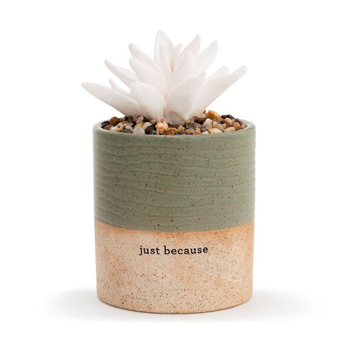 Demdaco Just Because Succulent Oil Diffuser, 