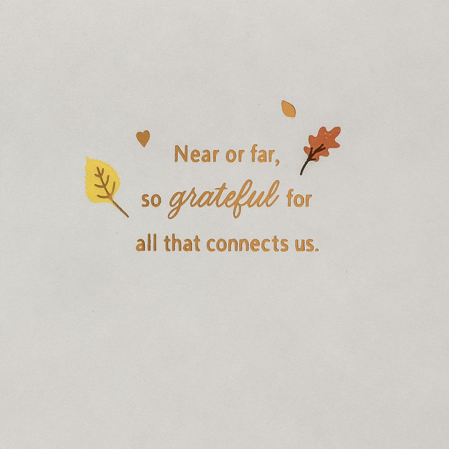 Thankful Across the Miles Thanksgiving Card Sentiment image number 3