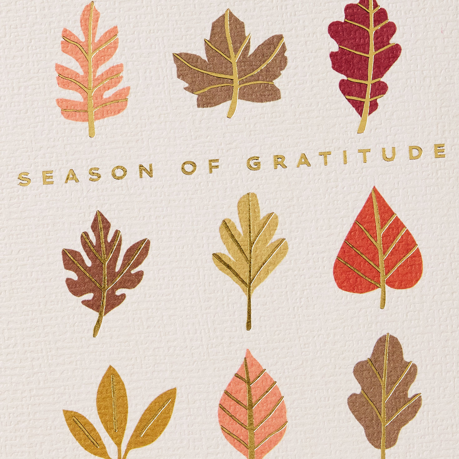 Fall Leaves Happy Thanksgiving Card Card Front Detail image number 4
