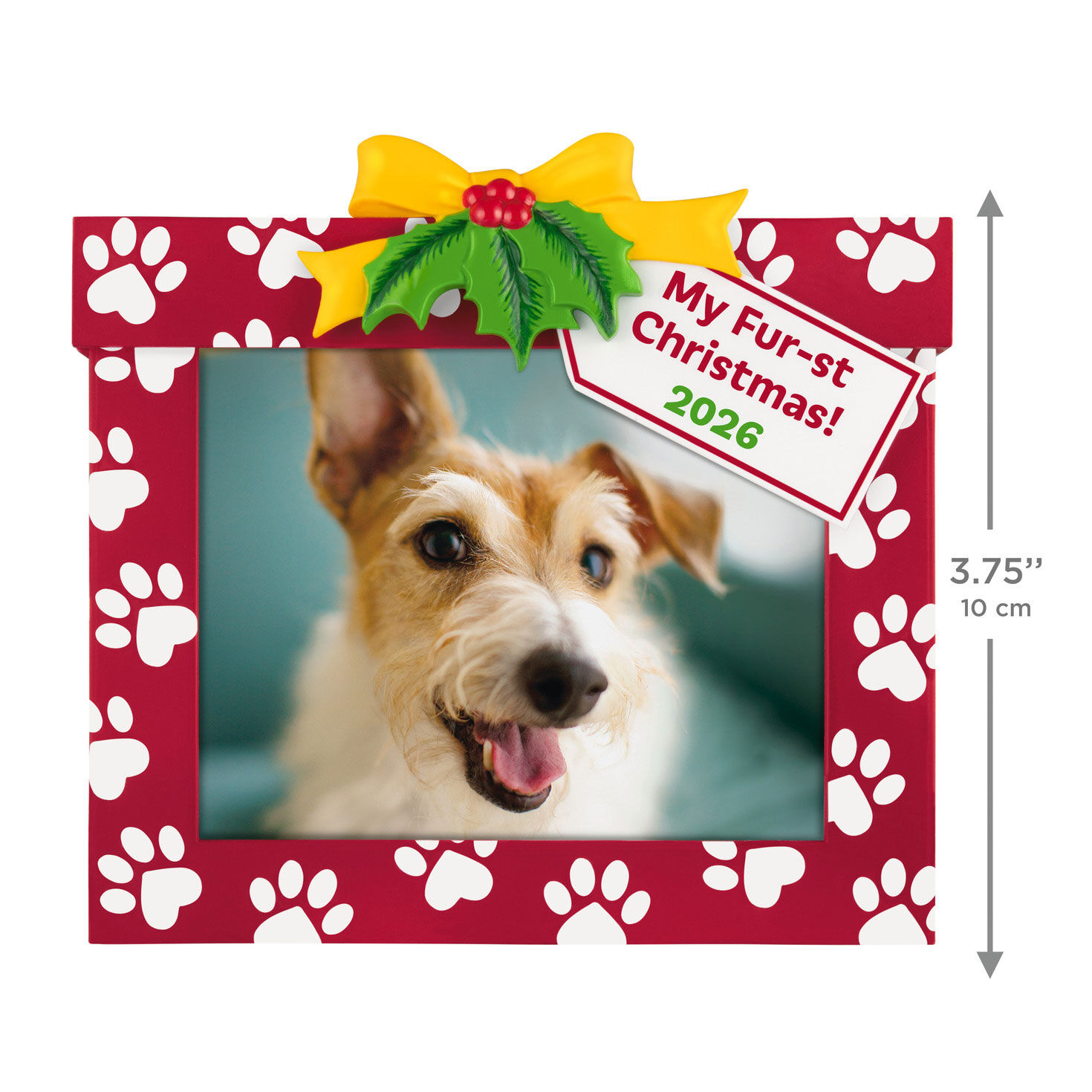 Christmas Present Pet Personalized Photo Ornament measurement image number 3
