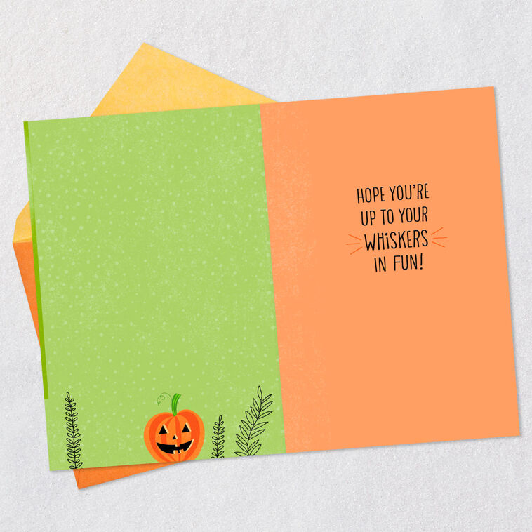Black Cat and Pumpkin on Green Halloween Card Open card with envelope image number 3